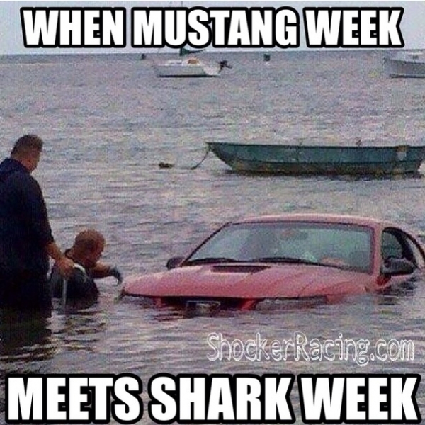 MustangWeek meets SharkWeek Meme_1
