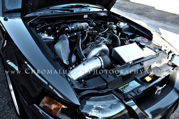 Staphani's 2003 Mustang GT Engine