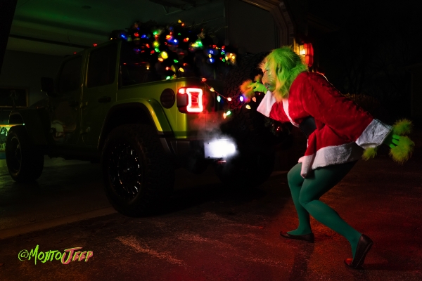 Mojito Grinch Steals Christmas - JR Photon Photoshoot_1