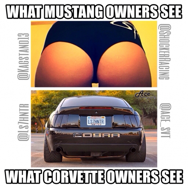What Mustang Owners See vs What Corvette Owners See Meme_1
